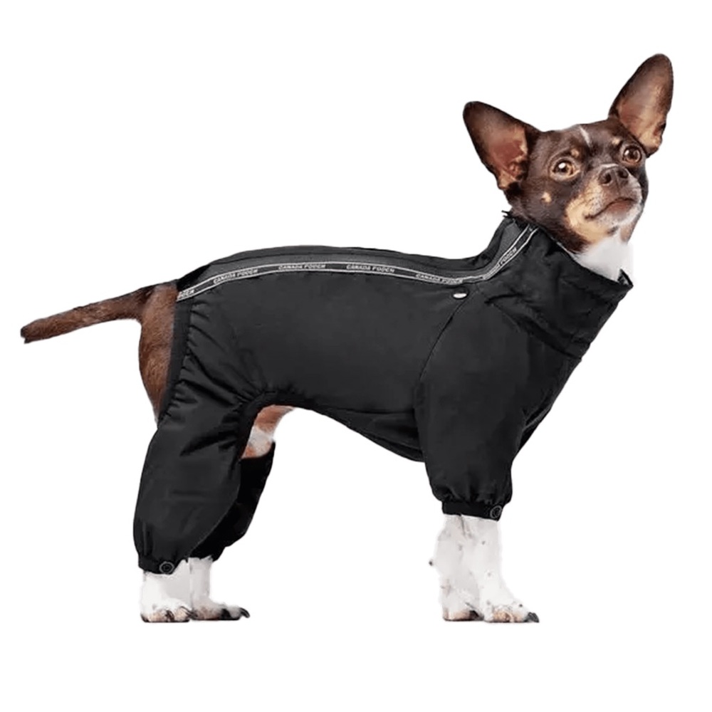 Black Dog Raincoat - Picture 2 of 8